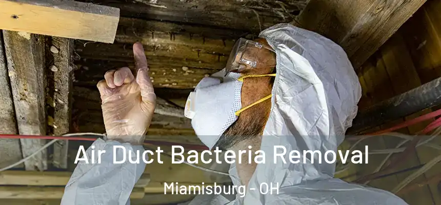  Air Duct Bacteria Removal Miamisburg - OH