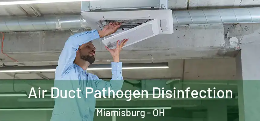  Air Duct Pathogen Disinfection Miamisburg - OH