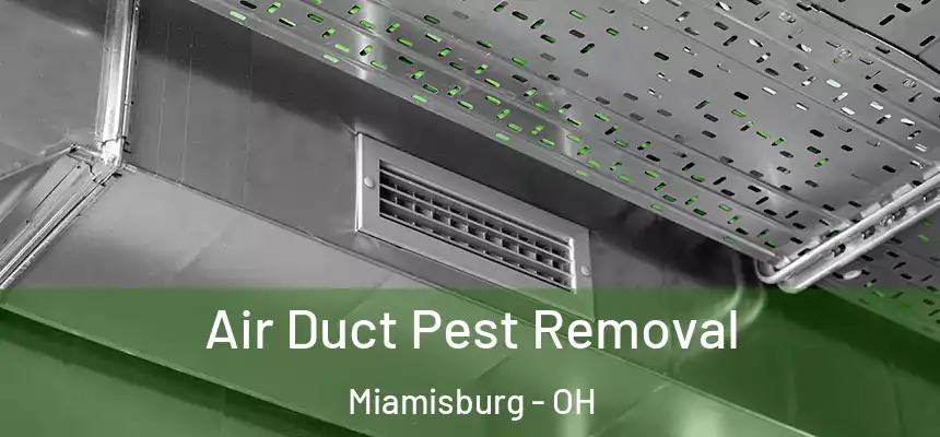  Air Duct Pest Removal Miamisburg - OH