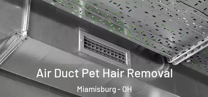 Air Duct Pet Hair Removal Miamisburg - OH