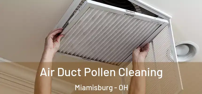 Air Duct Pollen Cleaning Miamisburg - OH