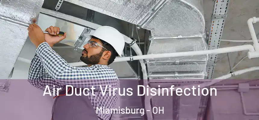 Air Duct Virus Disinfection Miamisburg - OH
