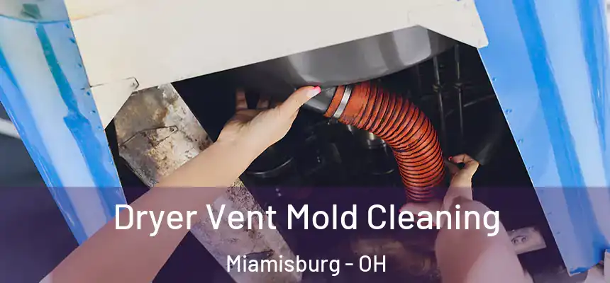  Dryer Vent Mold Cleaning Miamisburg - OH