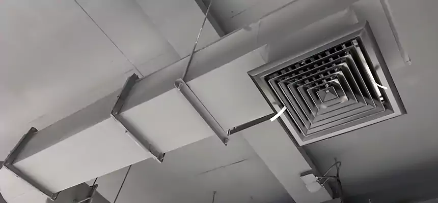 Our Pest Removal From Ducts Services in Miamisburg, OH