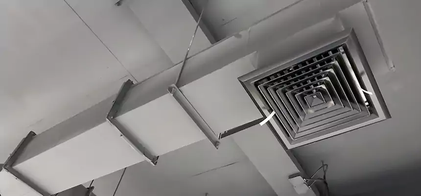 Our Rodent Droppings In Vents Services in Miamisburg, OH