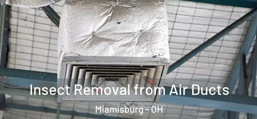  Insect Removal from Air Ducts Miamisburg - OH
