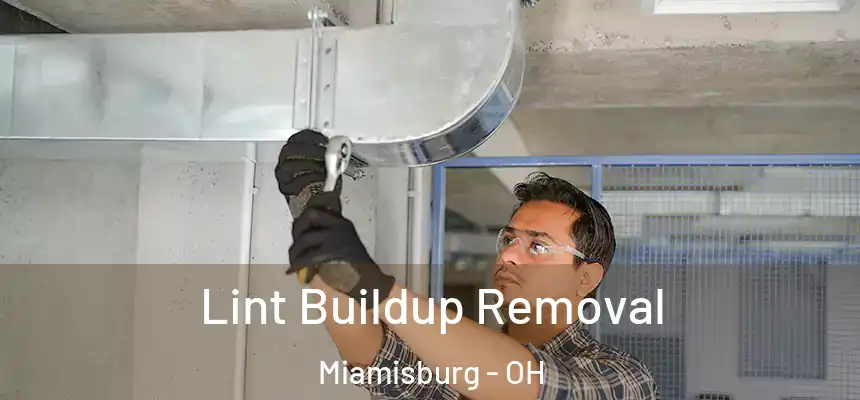  Lint Buildup Removal Miamisburg - OH
