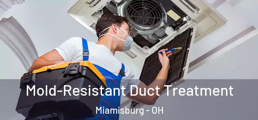  Mold-Resistant Duct Treatment Miamisburg - OH