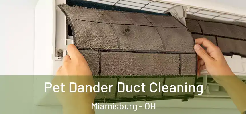 Pet Dander Duct Cleaning Miamisburg - OH