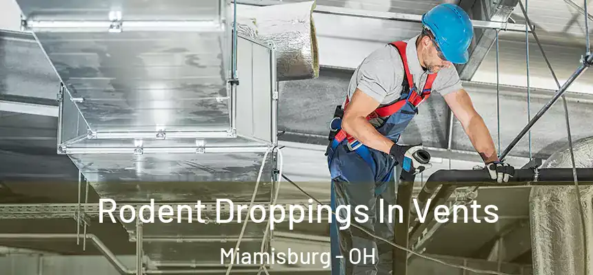 Rodent Droppings In Vents Miamisburg - OH