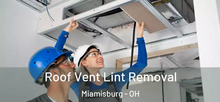Roof Vent Lint Removal Miamisburg - OH
