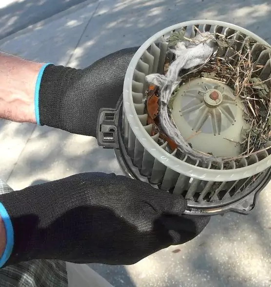 About Air Duct Rat Removal in Miamisburg, OH