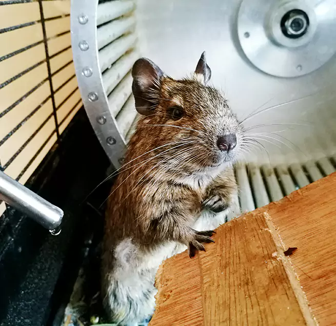 Why Homeowners & Businesses Trust Us Miamisburg, OH